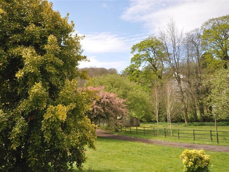Upwey Sixpenny Cottage מראה חיצוני תמונה
