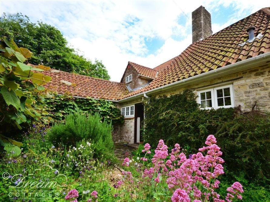 Upwey Sixpenny Cottage מראה חיצוני תמונה